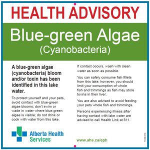 Health Advisory Blue Green Algae
